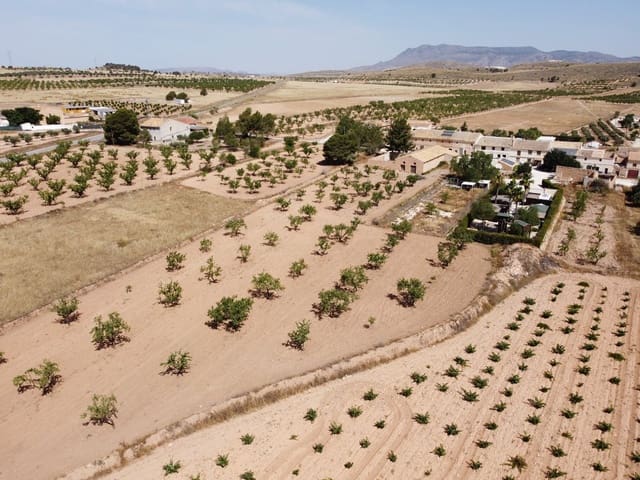 Grond te koop in Abanilla - € 49.000 (Ref: 9207755)