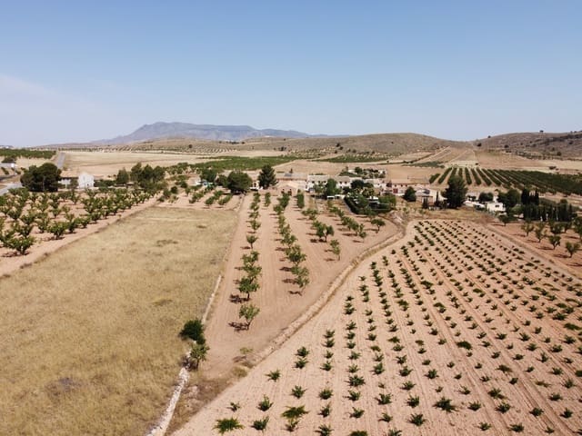 Grond te koop in Abanilla - € 49.000 (Ref: 9207755)