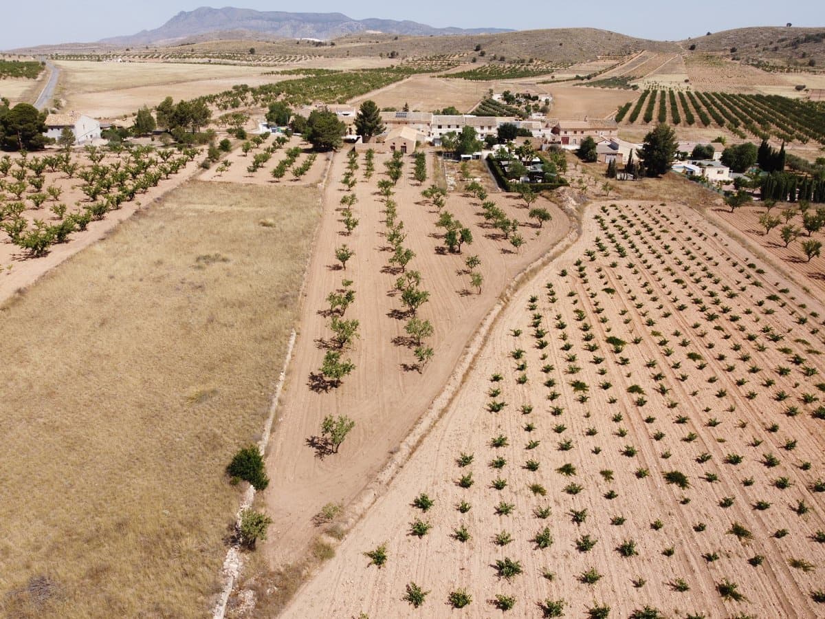 Teren niezagospodarowany na sprzedaż w Abanilla - 49 000 € (Ref: 9207755)