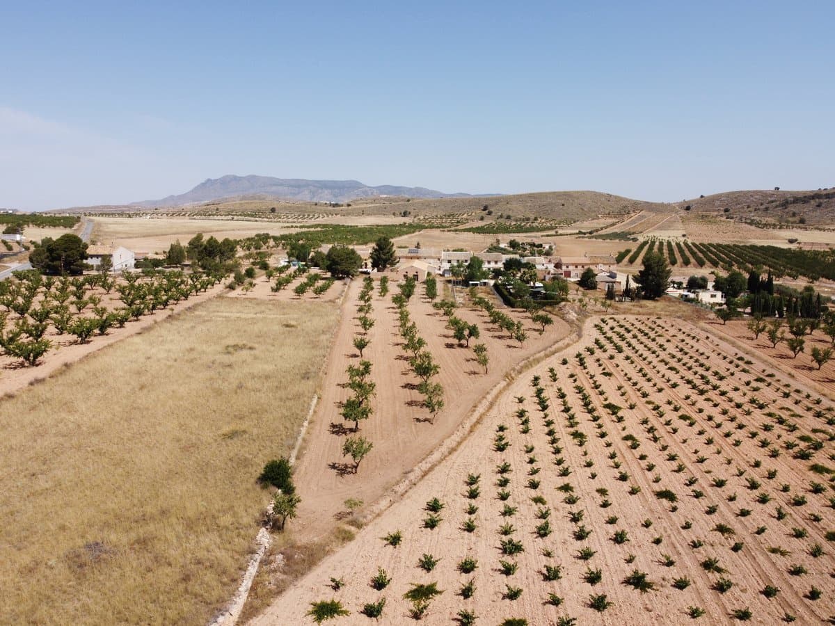 Undeveloped Land for sale in Abanilla - € 49,000 (Ref: 9207755)