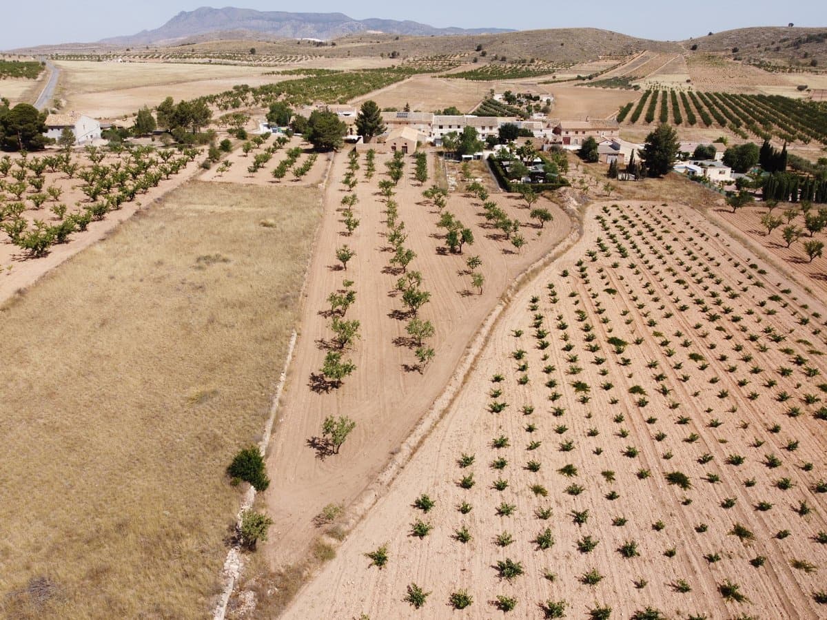 Undeveloped Land for sale in Abanilla - € 49,000 (Ref: 9207755)