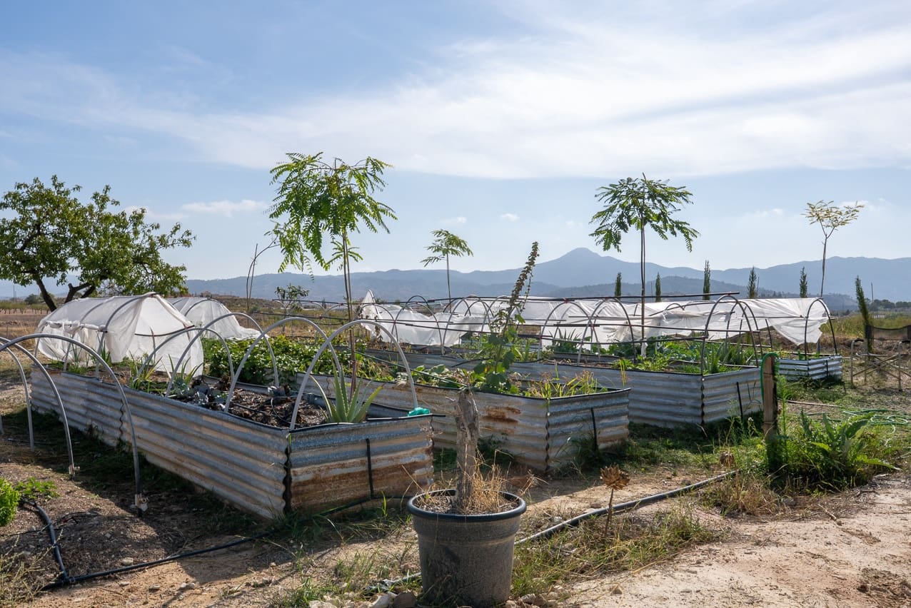 5 slaapkamer Finca/Landhuis te koop in Macisvenda met zwembad - € 285.000 (Ref: 9312068)