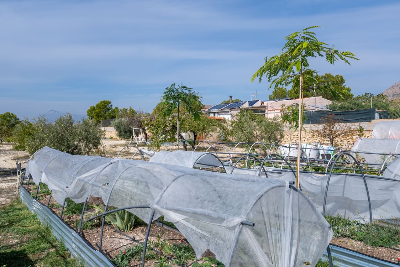 5 slaapkamer Finca/Landhuis te koop in Macisvenda met zwembad - € 285.000 (Ref: 9312068)