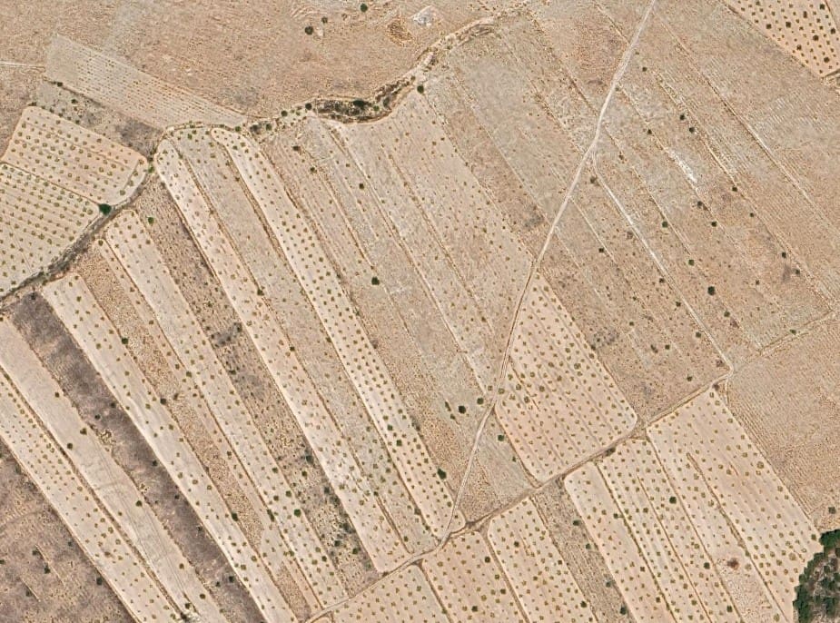 Teren niezagospodarowany na sprzedaż w Abanilla - 29 000 € (Ref: 9348029)