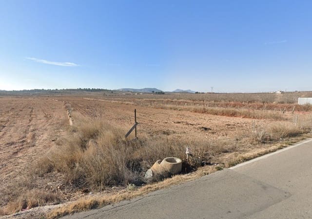 Terre non Aménagée à vendre à Rodriguillo, Pinoso - 65 100 € (Ref: 9348031)