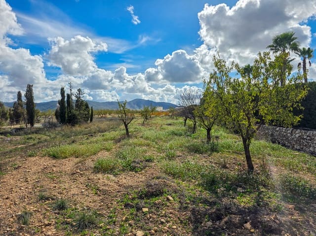Finca/Maison de Campagne à vendre à Abanilla avec piscine - 32 000 € (Ref: 9380094)