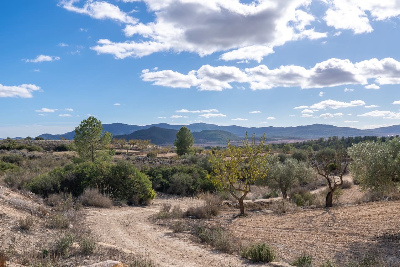 8 soveværelse Finca/Landehus til salg i Monovar / Monover med swimmingpool - € 156.000 (Ref: 9409844)