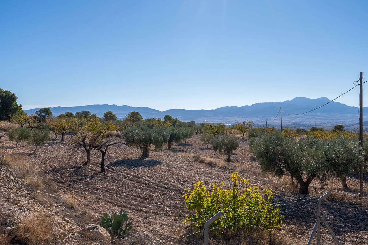 5 sovrum Finca/Hus på landet till salu i Jumilla med pool - 195 000 € (Ref: 9432297)