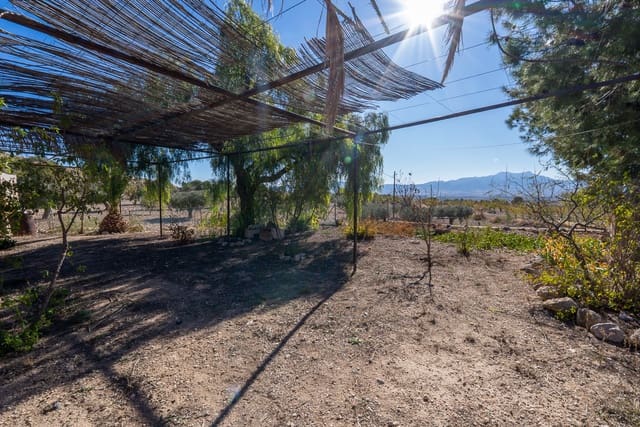 5 sovrum Finca/Hus på landet till salu i Jumilla med pool - 195 000 € (Ref: 9432297)