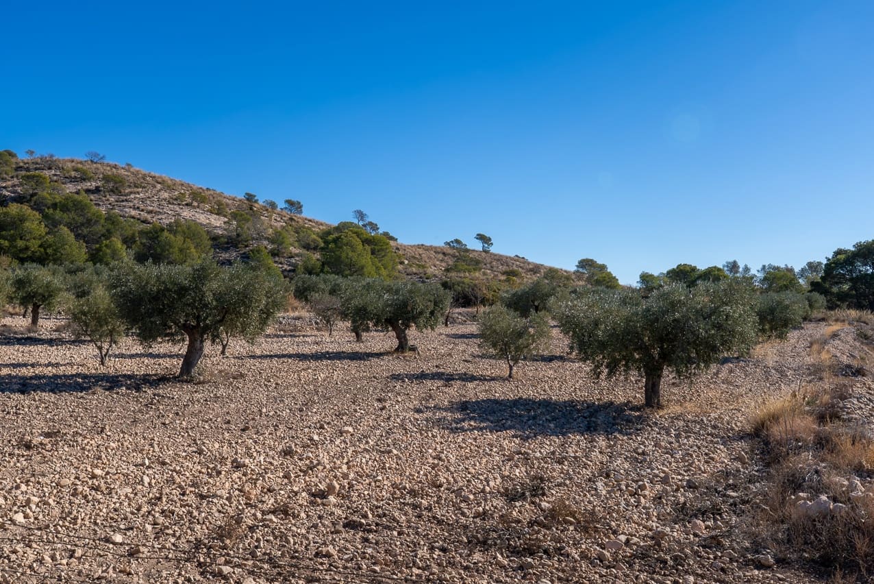 5 sovrum Finca/Hus på landet till salu i Jumilla med pool - 195 000 € (Ref: 9432297)