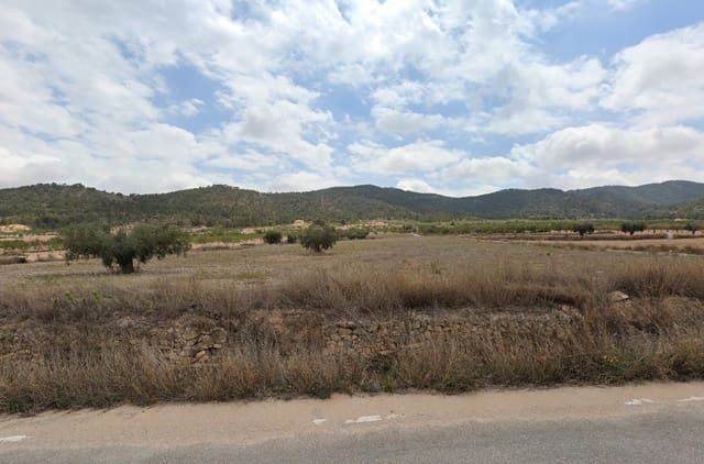 Ubebygd land til salgs i La Zarza, Pinoso - € 59 000 (Ref: 9453668)