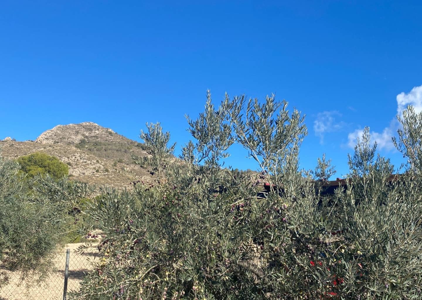 3 chambre Villa/Maison à vendre à Sax avec piscine - 399 995 € (Ref: 9459506)