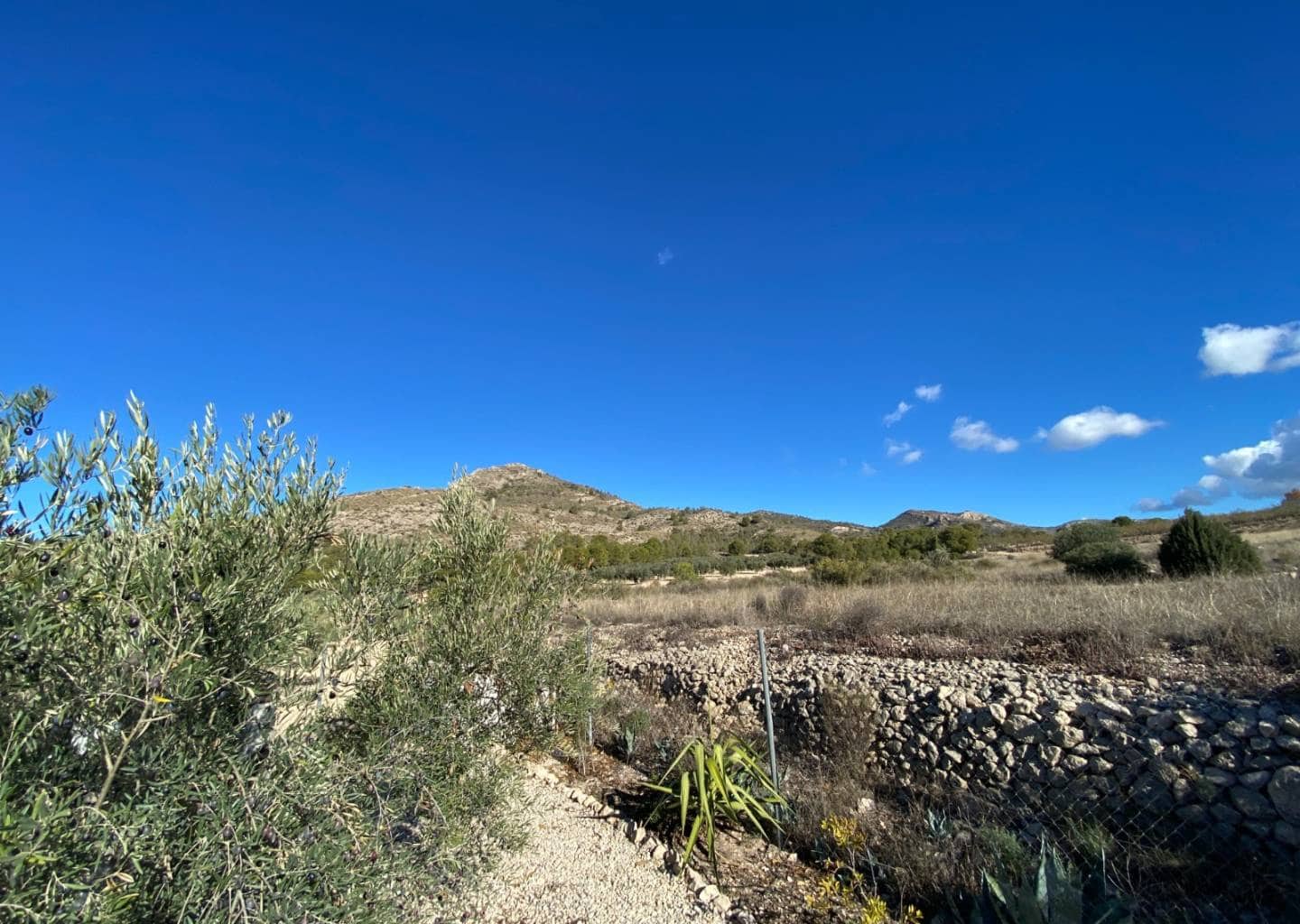 3 chambre Villa/Maison à vendre à Sax avec piscine - 399 995 € (Ref: 9459506)