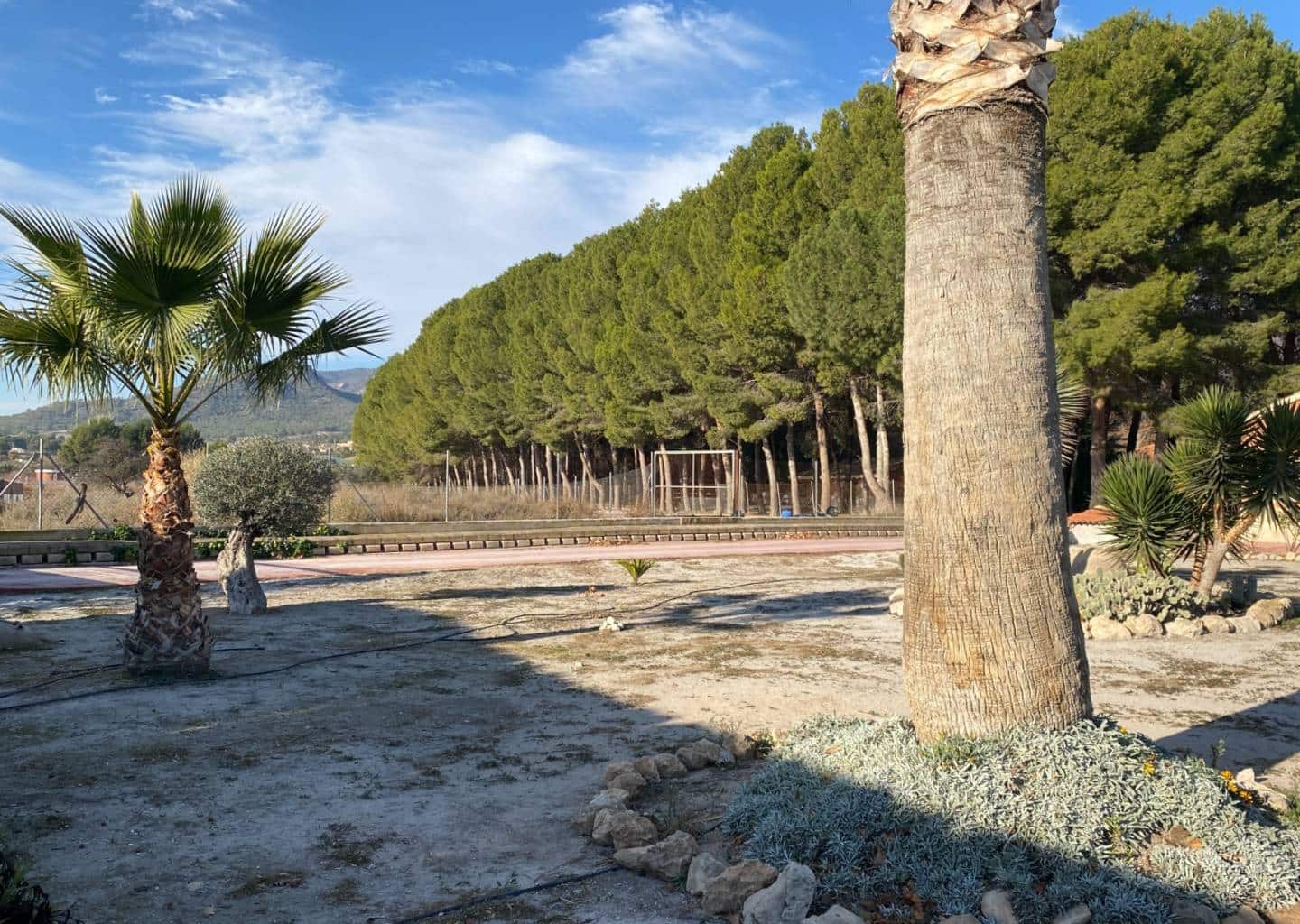 4 camera da letto Finca/Casa di Campagna in vendita in Salinas con piscina - 399.995 € (Rif: 9459507)