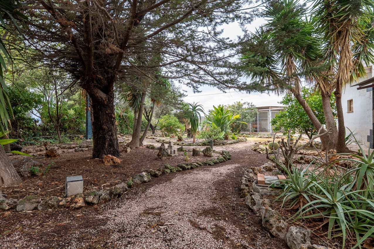 4 bedroom Villa for sale in Novelda with pool - € 320,000 (Ref: 9470043)