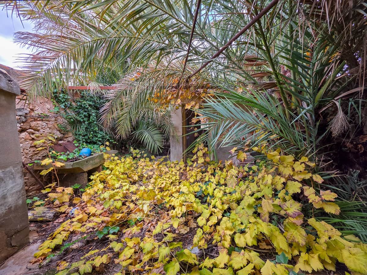 4 bedroom Finca/Country House for sale in Pinoso with pool - € 49,950 (Ref: 9499887)