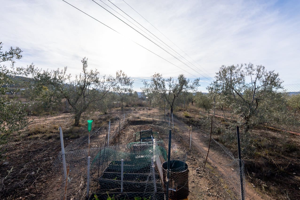 1 soverom Finca/Herregård til salgs i Pinoso med svømmebasseng - € 59 950 (Ref: 9510252)