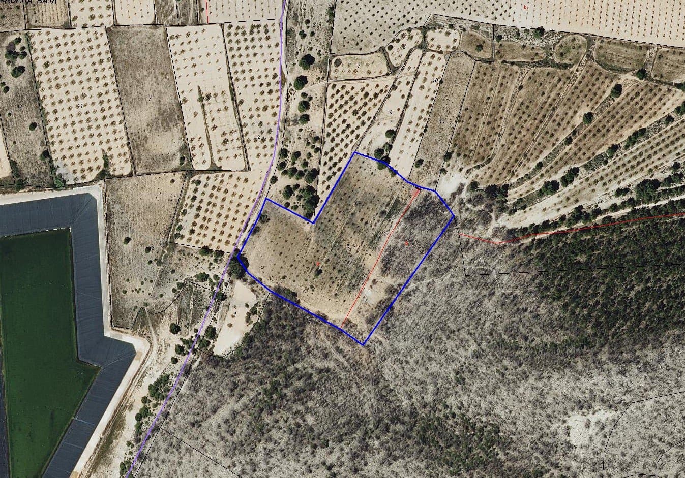 Teren niezagospodarowany na sprzedaż w Monovar / Monover - 56 000 € (Ref: 9548988)