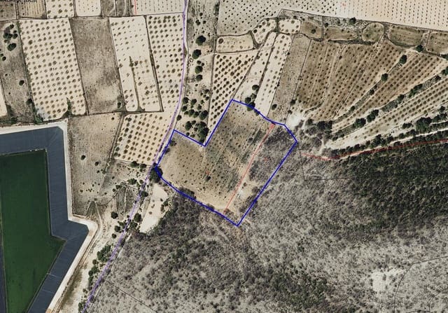 Teren niezagospodarowany na sprzedaż w Monóvar / Monóver - 56 000 € (Ref: 9548988)