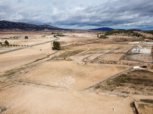 Terre non Aménagée à vendre à Torre del Rico, Jumilla - 45 000 € (Ref: 9588491)