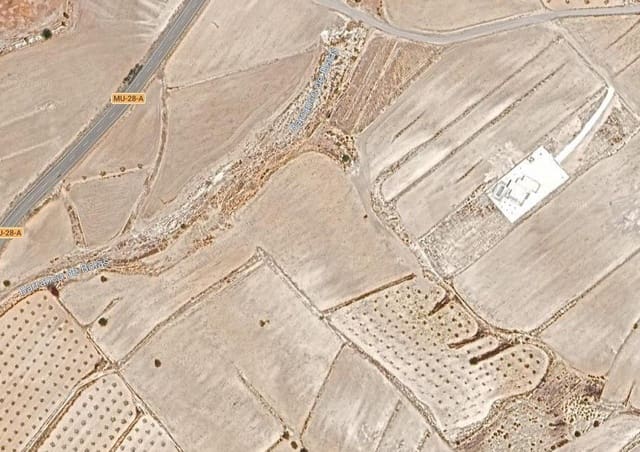 Mark till salu i Torre del Rico, Jumilla - 45 000 € (Ref: 9588491)