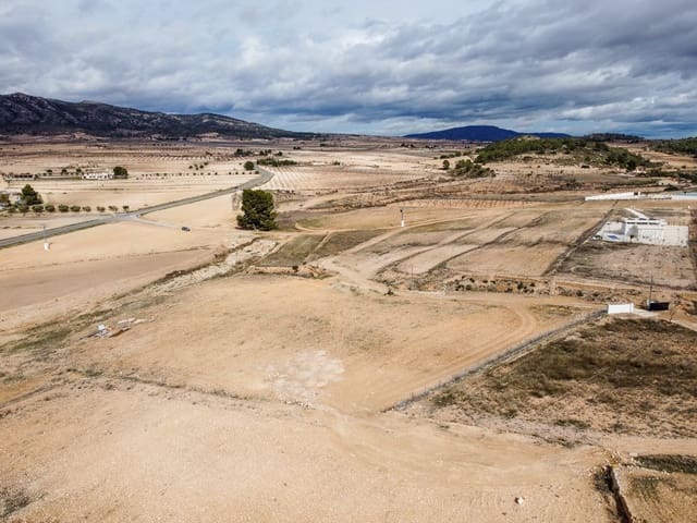 Mark till salu i Torre del Rico, Jumilla - 45 000 € (Ref: 9588491)