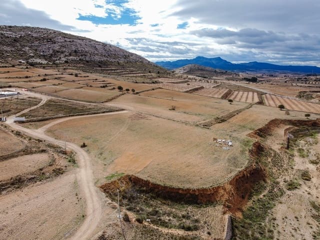 Mark till salu i Torre del Rico, Jumilla - 45 000 € (Ref: 9588491)