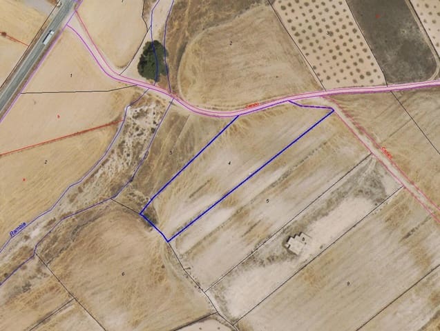 Undeveloped Land for sale in Torre del Rico, Jumilla - € 45,000 (Ref: 9588492)