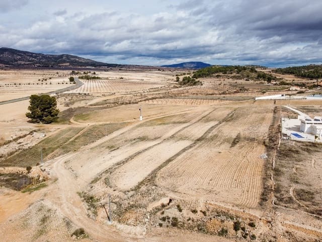 Undeveloped Land for sale in Torre del Rico, Jumilla - € 45,000 (Ref: 9588492)