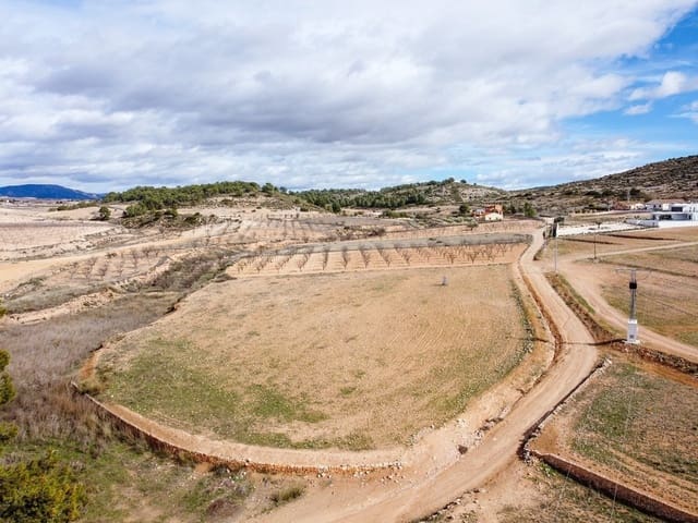 Mark till salu i Torre del Rico, Jumilla - 45 000 € (Ref: 9588493)
