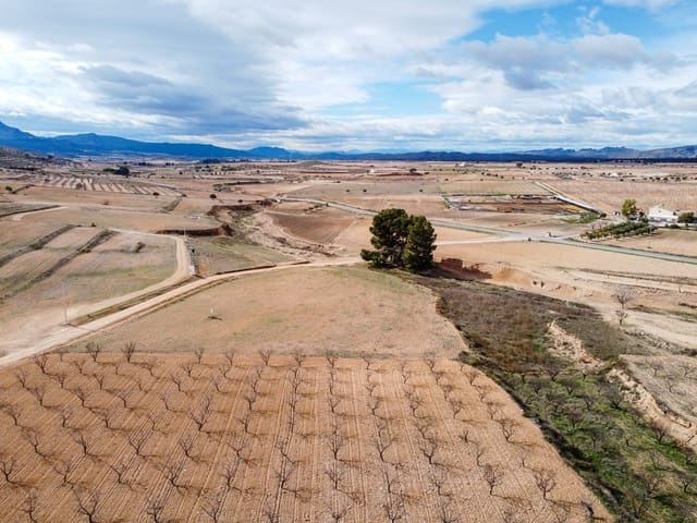 Mark till salu i Torre del Rico, Jumilla - 45 000 € (Ref: 9588493)