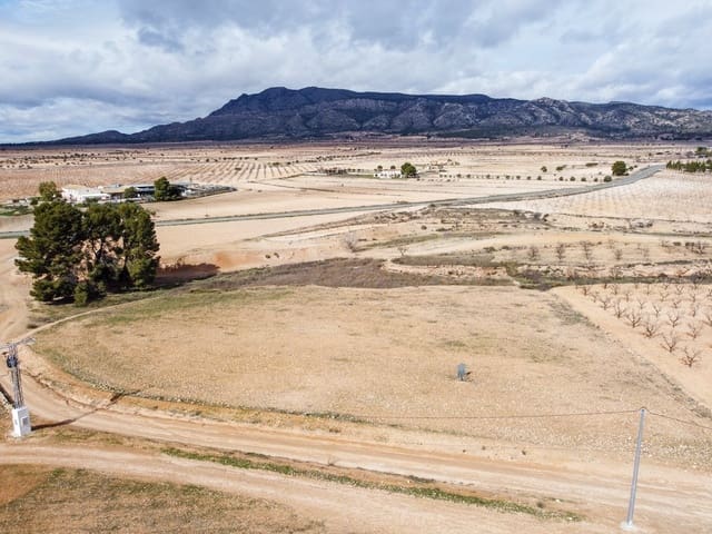 Mark till salu i Torre del Rico, Jumilla - 45 000 € (Ref: 9588493)