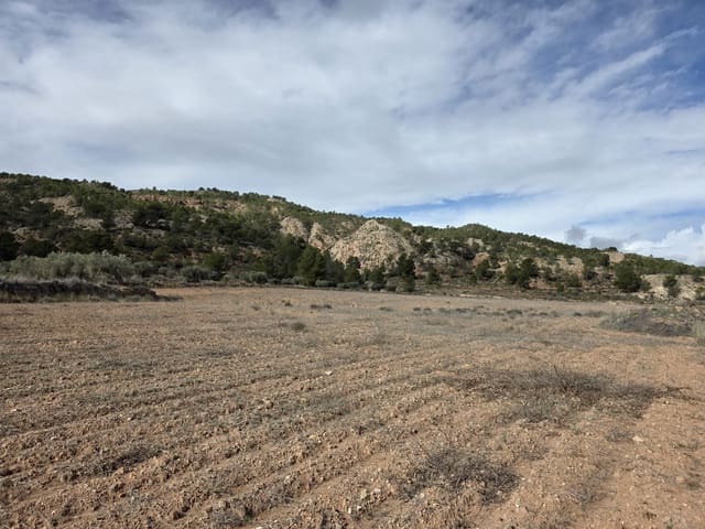 Rakentamaton maa myytävänä paikassa Encebras, Pinoso - 30 000 € (Ref: 9597166)