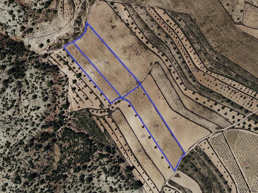 Undeveloped Land for sale in Pinoso - € 30,000 (Ref: 9597166)