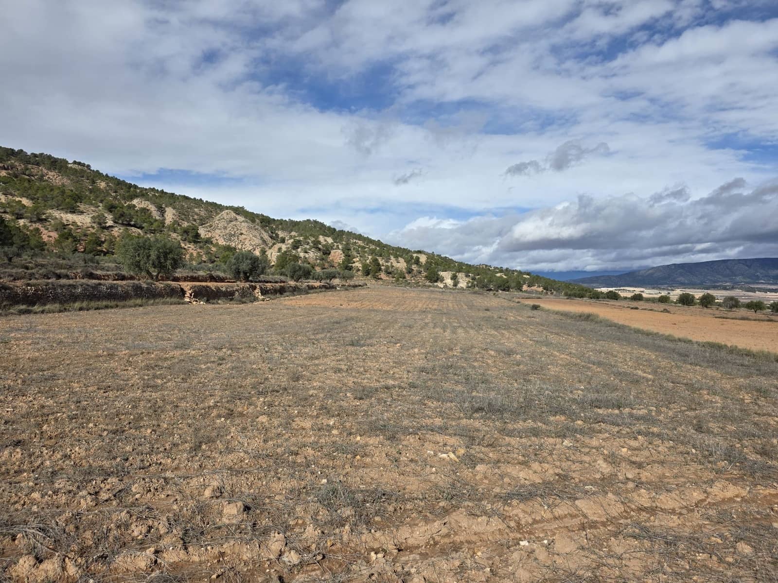 Undeveloped Land for sale in Pinoso - € 30,000 (Ref: 9597166)