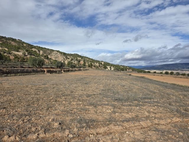 Mark till salu i Pinoso - 30 000 € (Ref: 9597166)