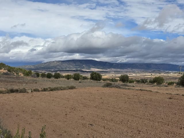Mark till salu i Pinoso - 30 000 € (Ref: 9597166)