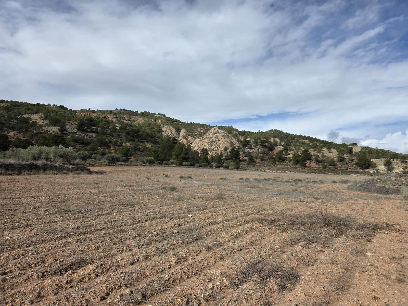 Undeveloped Land for sale in Pinoso - € 30,000 (Ref: 9597166)