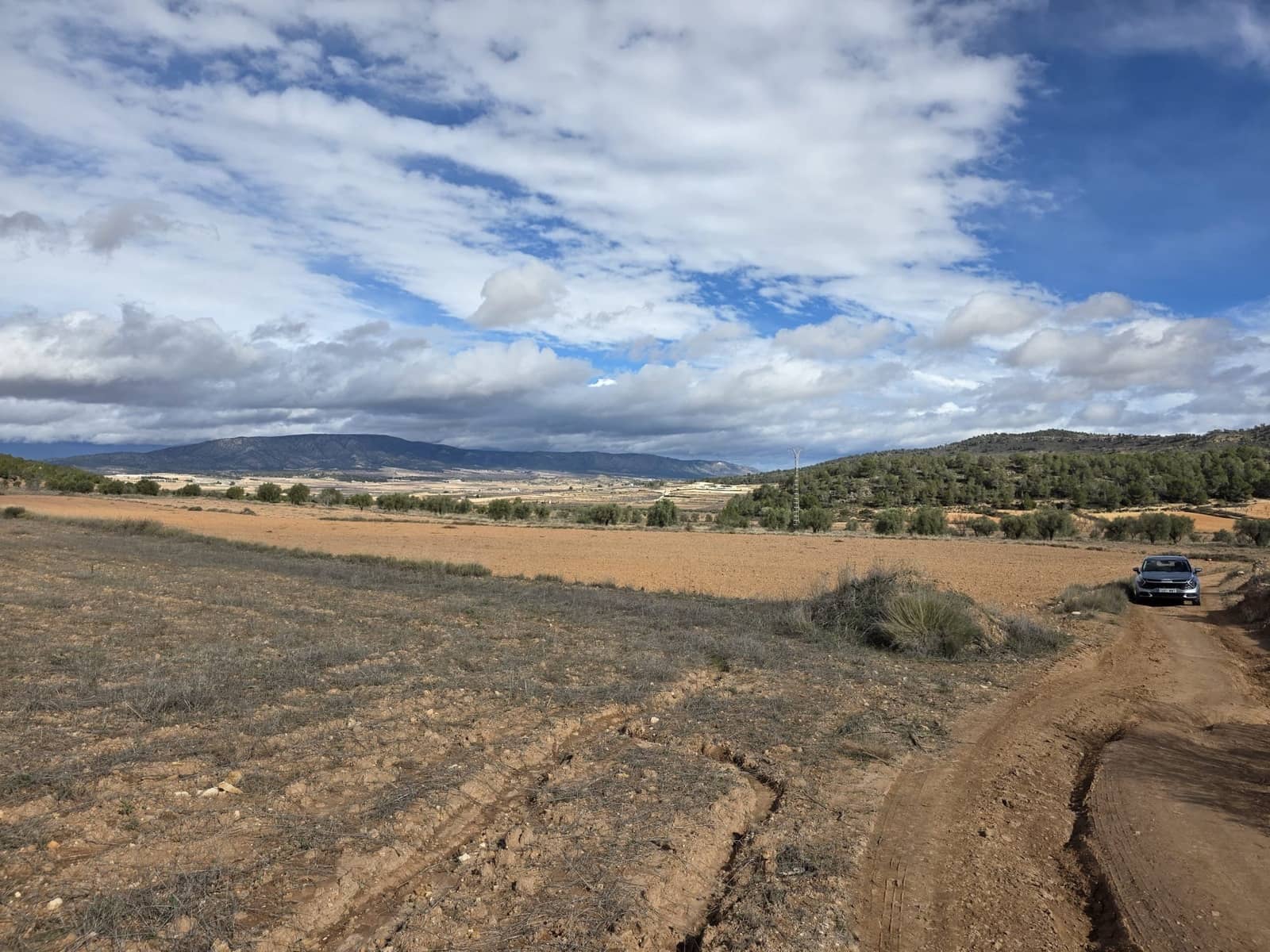 Undeveloped Land for sale in Pinoso - € 30,000 (Ref: 9597166)