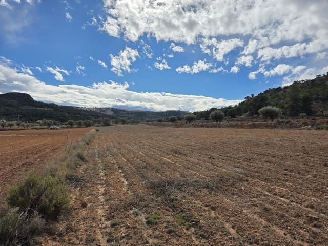 Mark till salu i Pinoso - 30 000 € (Ref: 9597166)
