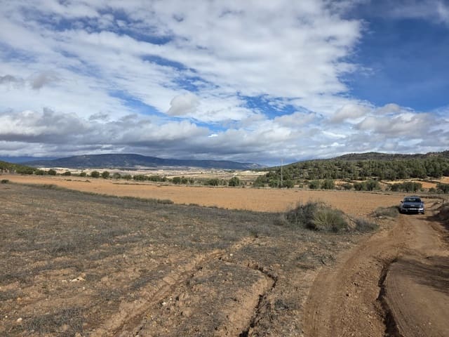 Mark till salu i Pinoso - 30 000 € (Ref: 9597166)