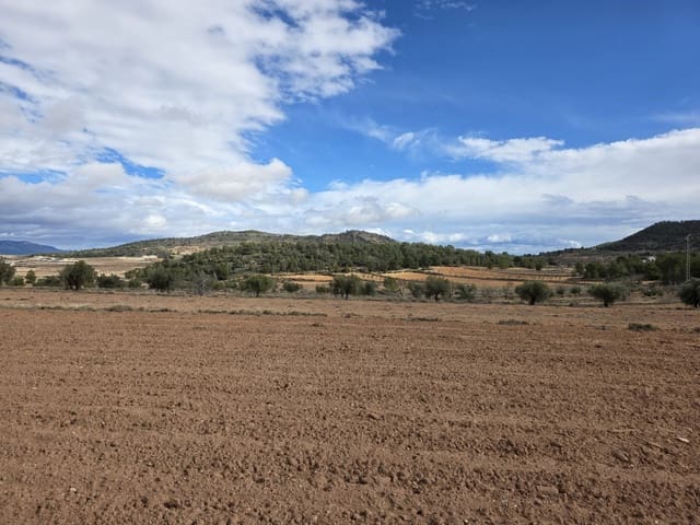 Mark till salu i Pinoso - 30 000 € (Ref: 9597166)
