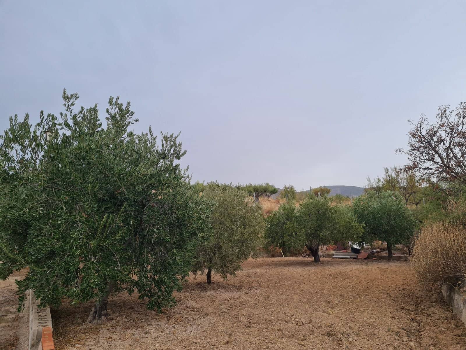 4 Zimmer Villa zu verkaufen in Petrel / Petrer mit Pool - 350.000 € (Ref: 9598472)