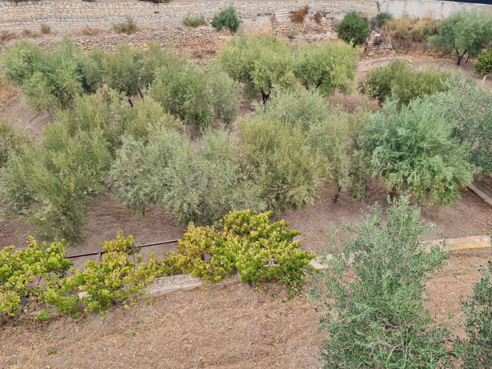 4 Zimmer Villa zu verkaufen in Petrel / Petrer mit Pool - 350.000 € (Ref: 9598472)