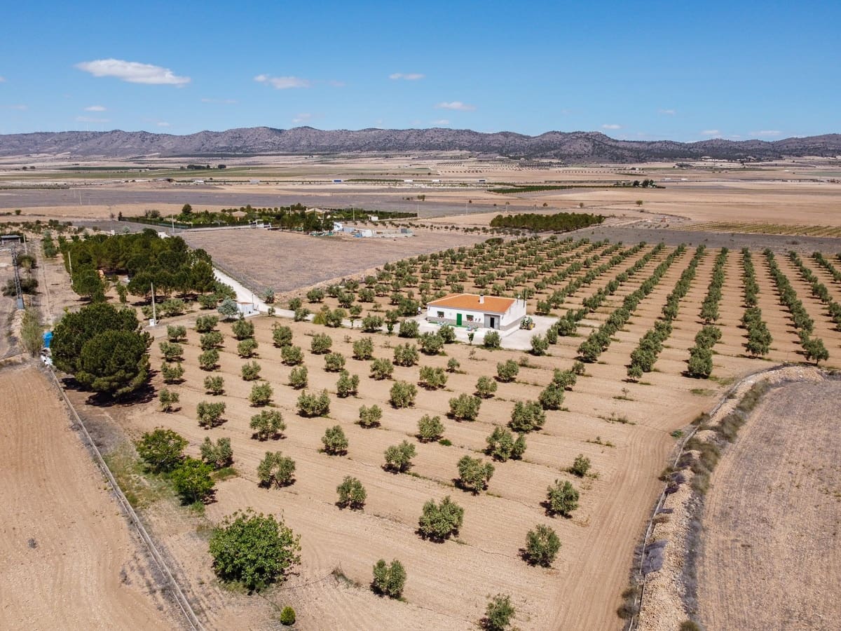 3 makuuhuone Maalaistalo myytävänä paikassa Yecla mukana uima-altaan - 220 000 € (Ref: 9603369)