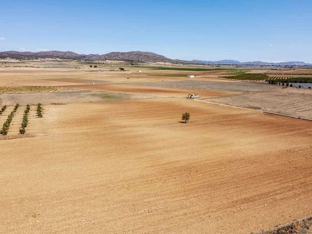 3 makuuhuone Maalaistalo myytävänä paikassa Yecla mukana uima-altaan - 220 000 € (Ref: 9603369)