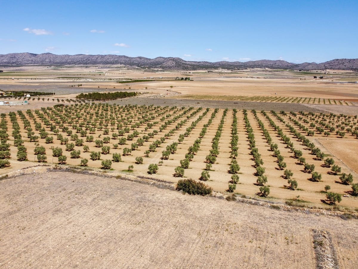 3 makuuhuone Maalaistalo myytävänä paikassa Yecla mukana uima-altaan - 220 000 € (Ref: 9603369)