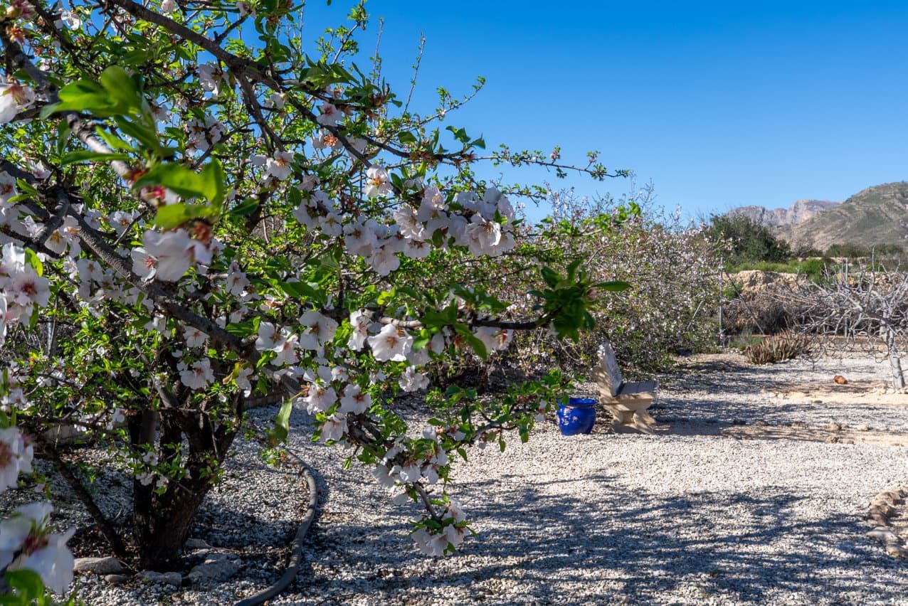 3 soverom Villa til salgs i Abanilla med svømmebasseng - € 250 000 (Ref: 9614101)