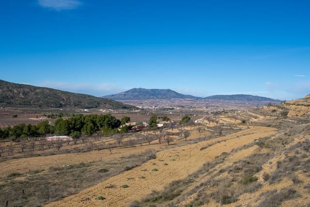 4 quarto Casa de Caverna para venda em Pinoso com piscina - 150 000 € (Ref: 9618123)