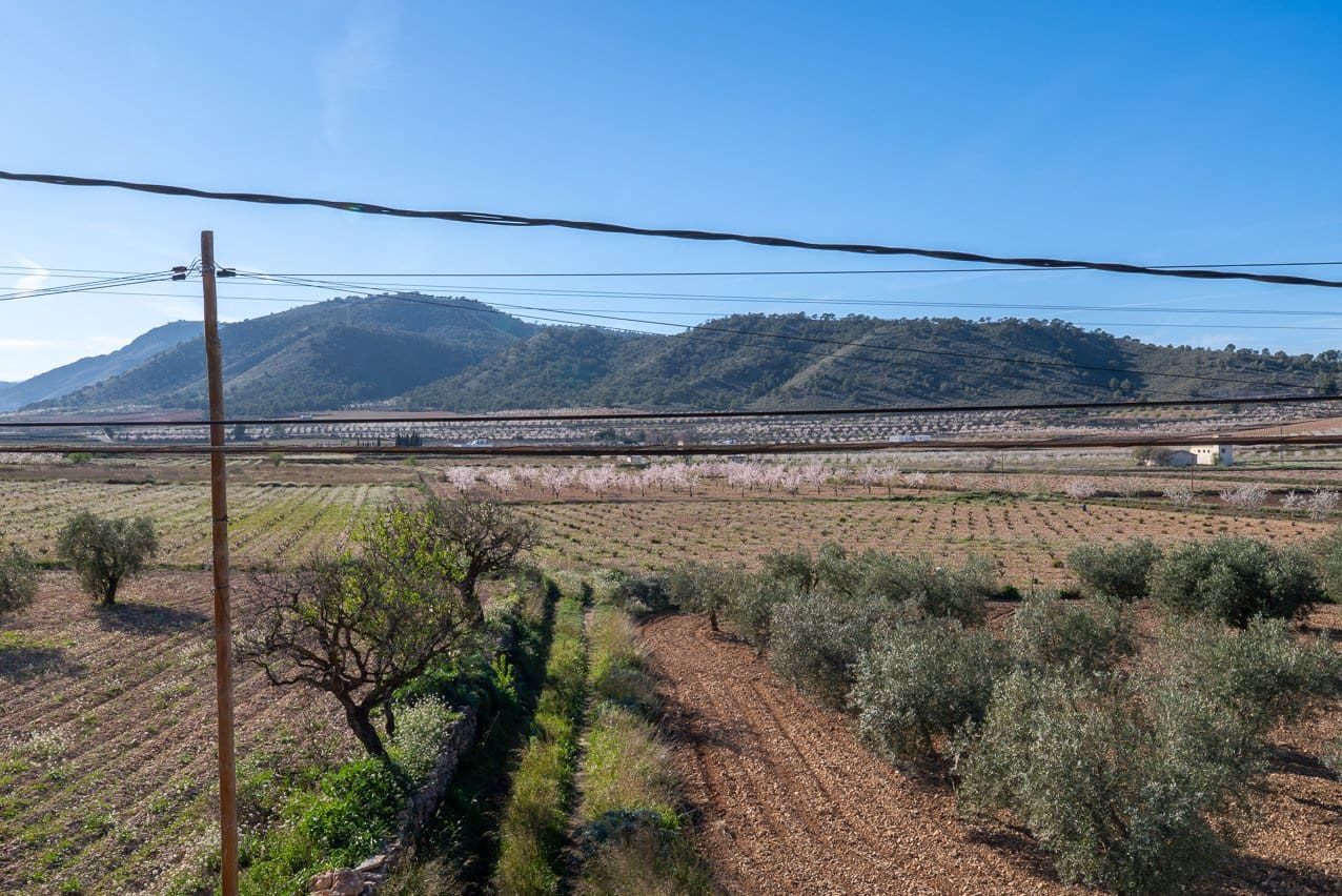 3 bedroom Finca/Country House for sale in Canada de la Lena with pool - € 139,950 (Ref: 9635161)